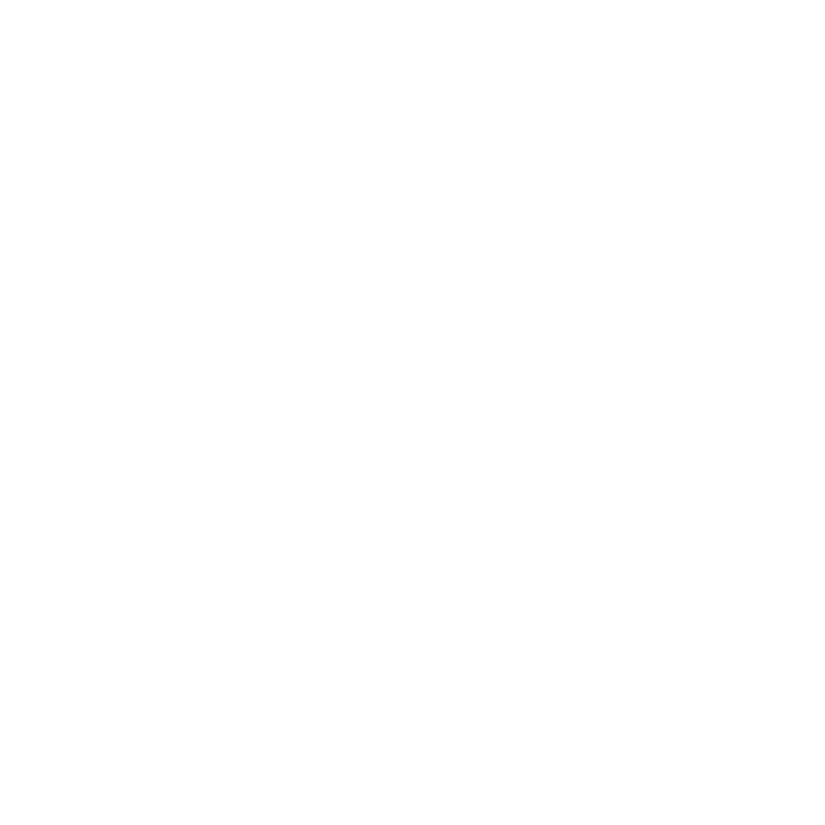 Autolign Inspections