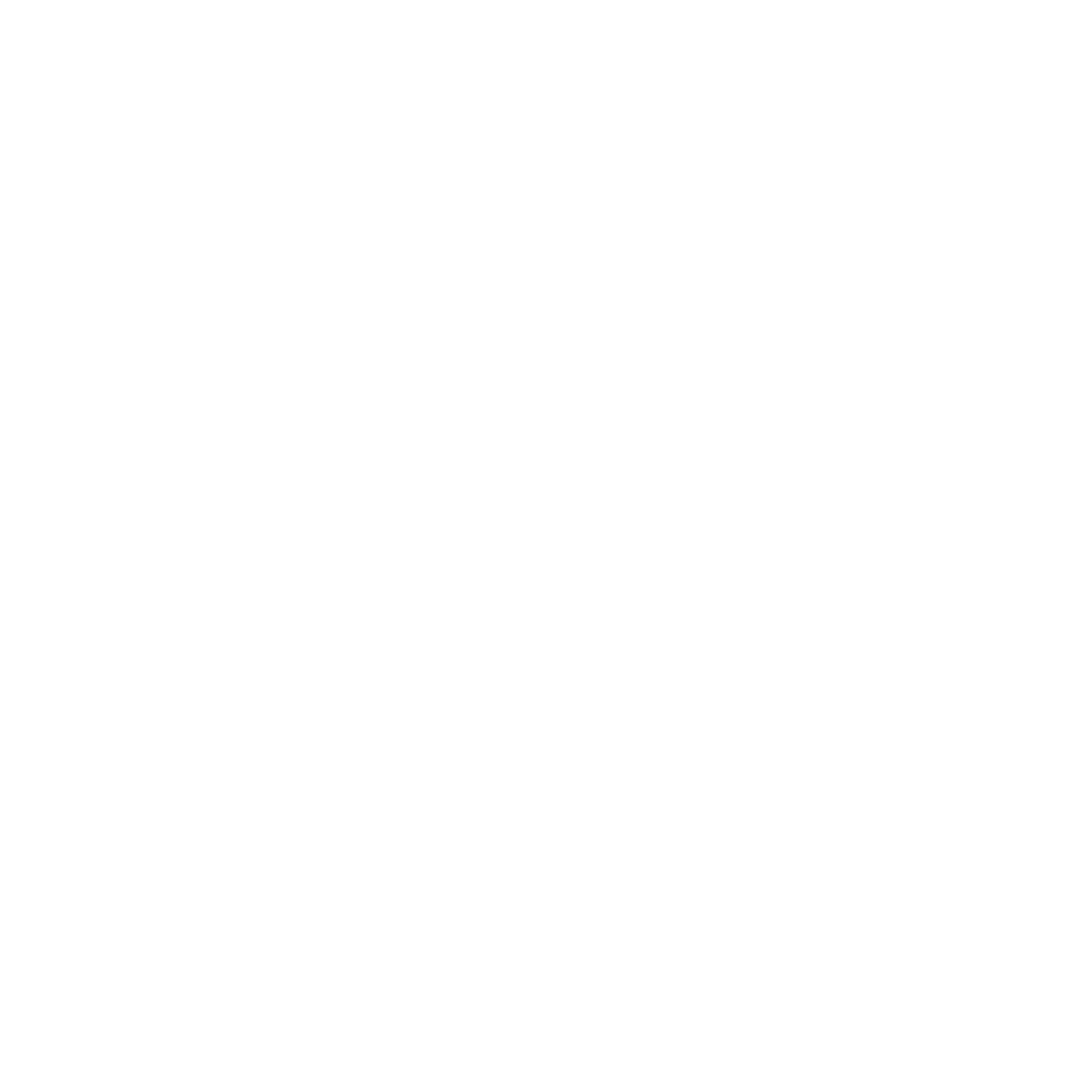 Custom Cages Logo